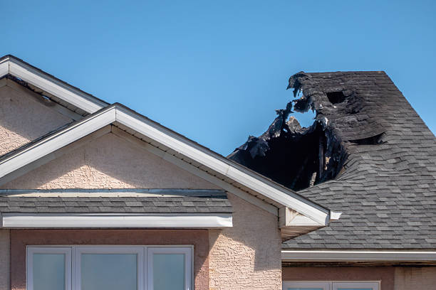 Top rated local Fire Damage Removal specialists in Springfield, KY